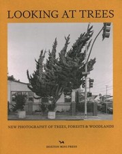 Looking At Trees New Photography of Trees Forests & Woodlands