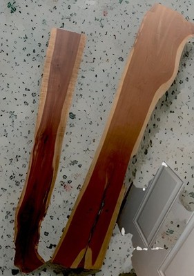 Live Edge Cedar Slices From A Tree That Was Over 100 Years Old