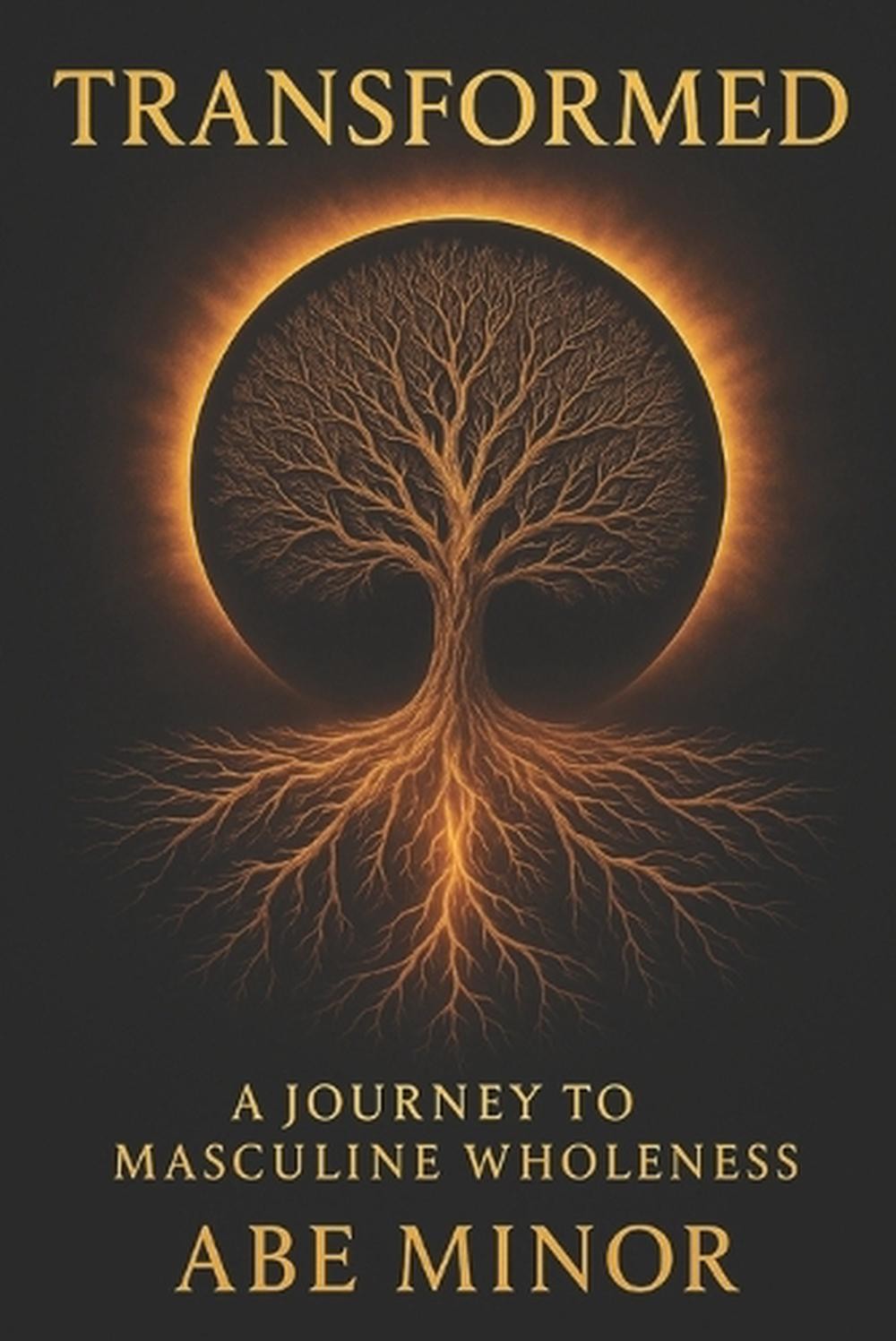 Transformed: A Journey to Masculine Wholeness by Abe Minor Paperback Book