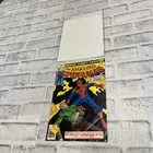 The Amazing Spider-Man #176 (Marvel Comics January 1978) GUC Vintage Comic Book