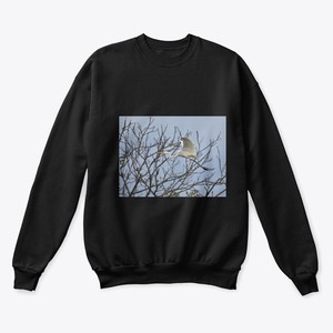 penneys sweatshirts