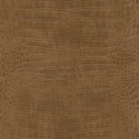Rasch Vliestapete African Queen 3 Krokodilleder 751314