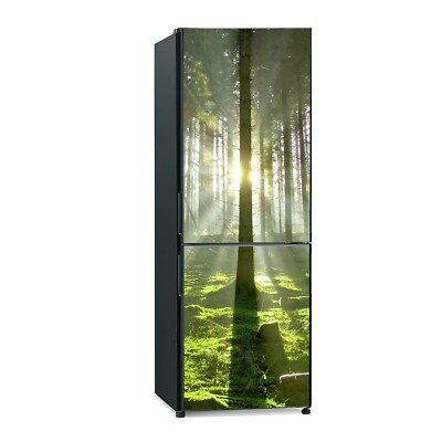 Kühlschrank Tür Aufkleber Klebefolie Wald Sonne Natur Bäume hellgrüne Äste