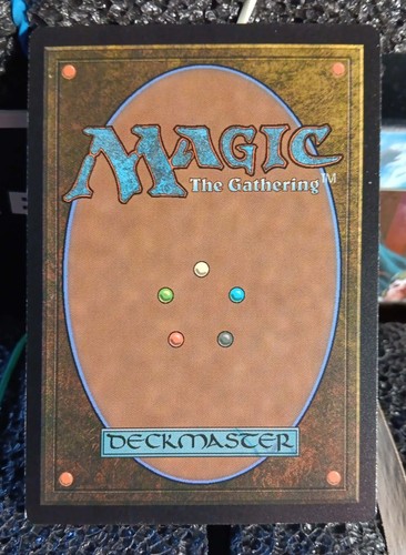 MTG Plains 268 Basic Land Innistrad Midnight Hunt MTG - 第 2/2 張圖片