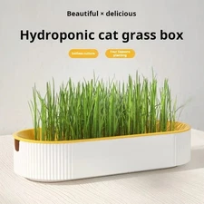 Hydroponic Cat Grass Kit Catnip Plant Growing Pot Soilless Indoor Garden Pet