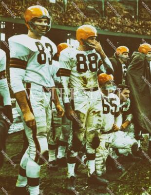 E409 Doug Atkins Cleveland Browns 8x10 11x14 16x20 Oil Painting Photo