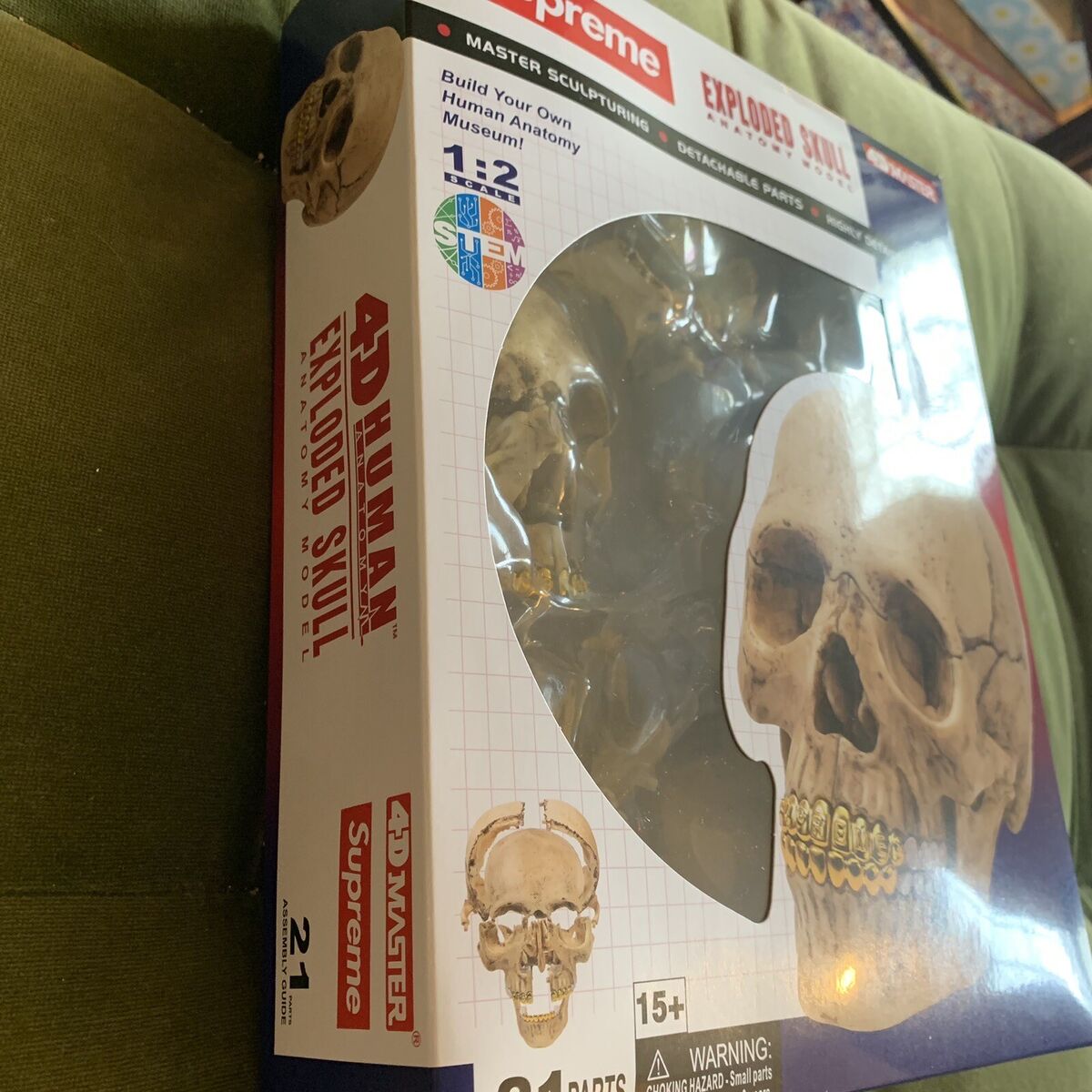 Supreme 4D Model Human Skull With Gold Grill FW23 Exploded Skull Ships Next  Day