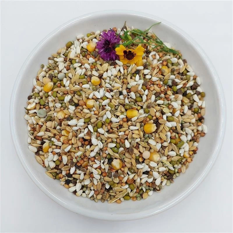 Bird-Box Keimfutter für Papageien Inhalt 5 kg