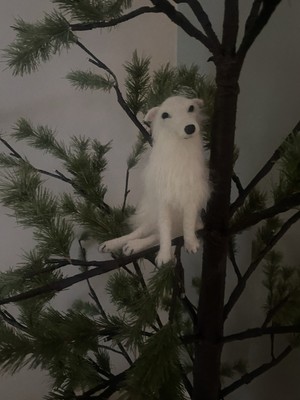 One Of A Kind Needle Felted Borzoi Dog All Hand Made Must See OOAK