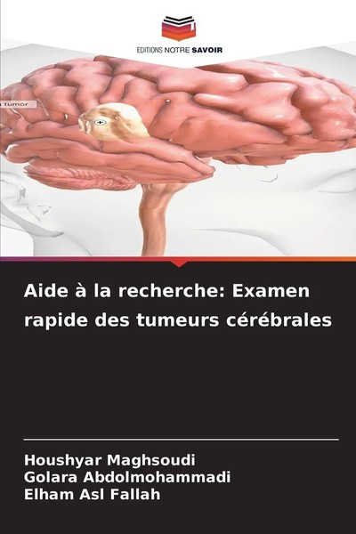 Houshyar Maghsoudi (U. A.) | Aide à La Recherche: Examen Rapide Des Tumeurs...-image