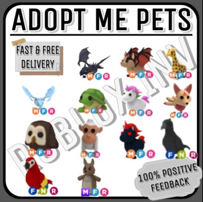 Adopt Your Pet From Me | CHEAP AND FAST DELIVERY | Read Description