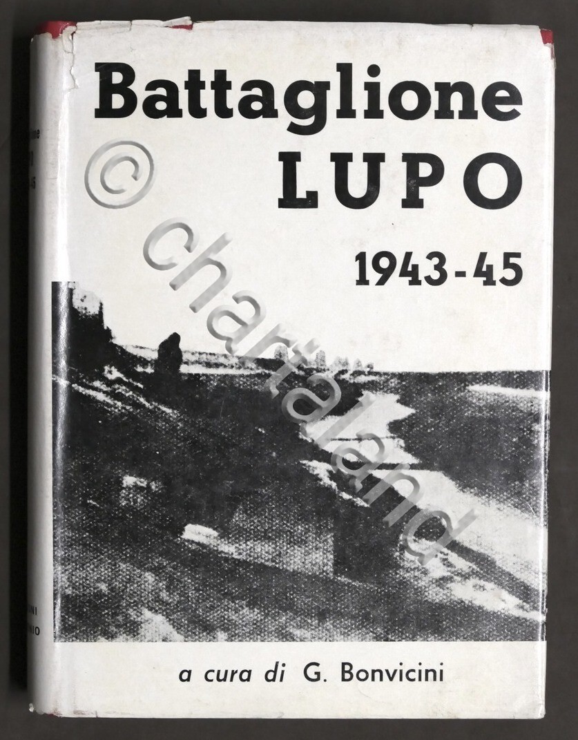 Foto 1 di 1