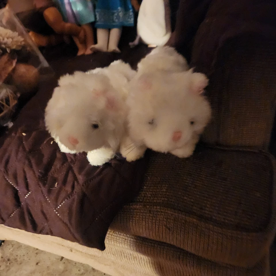 2 GANZ Lil Kinz Stuffed Persian Cat Plush Animal White NO CODE Kitty Cuddly Toy  - Image 2 of 4