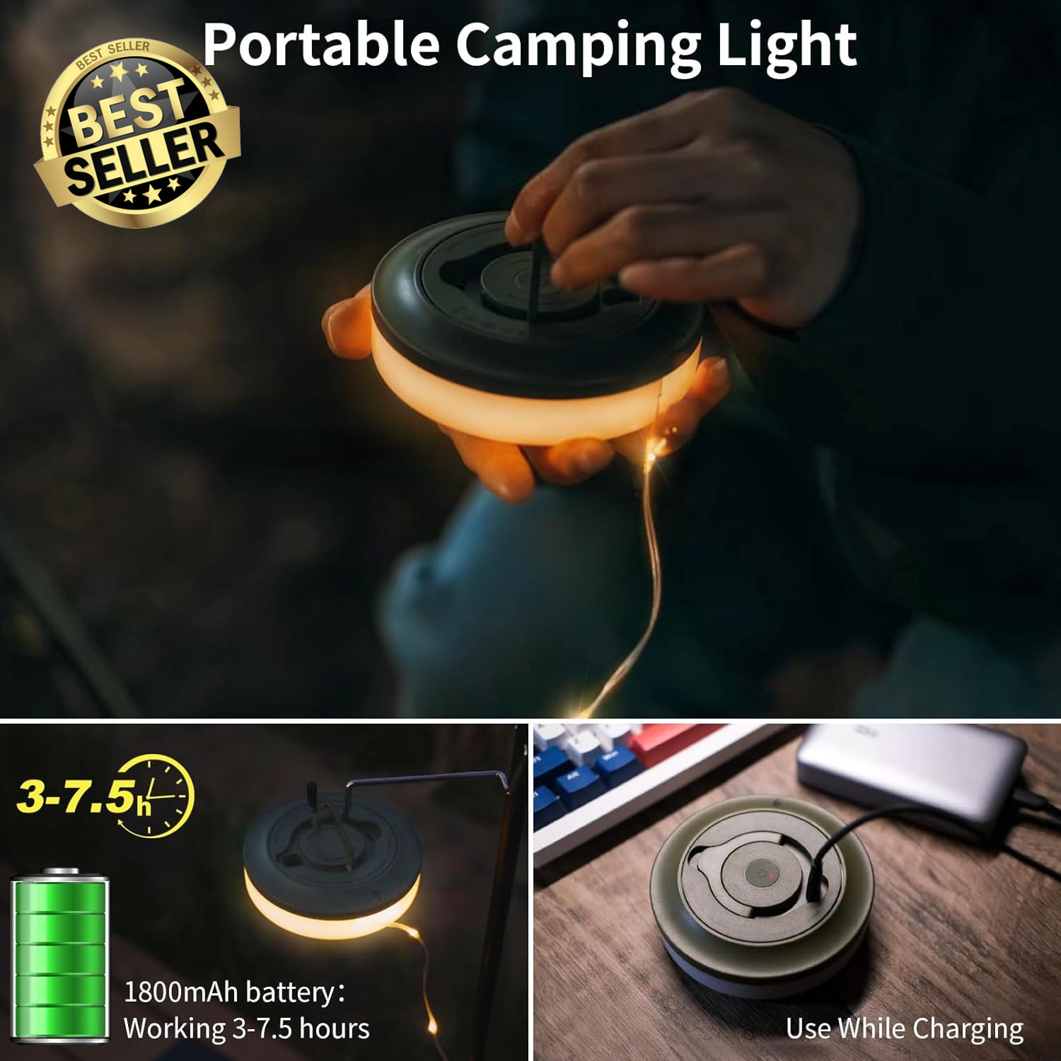 Picture 3