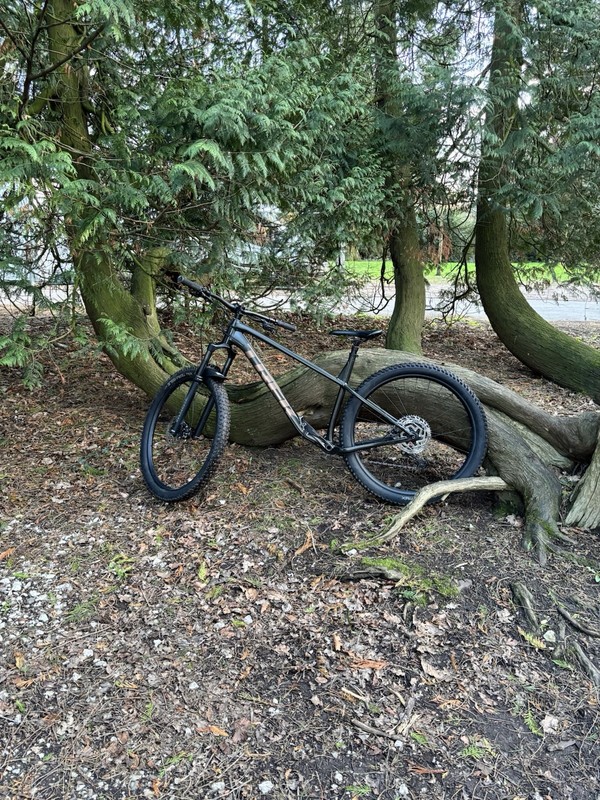 Trek Roscoe 7 Mountain Bike Olive, XL 2024 Great Condition