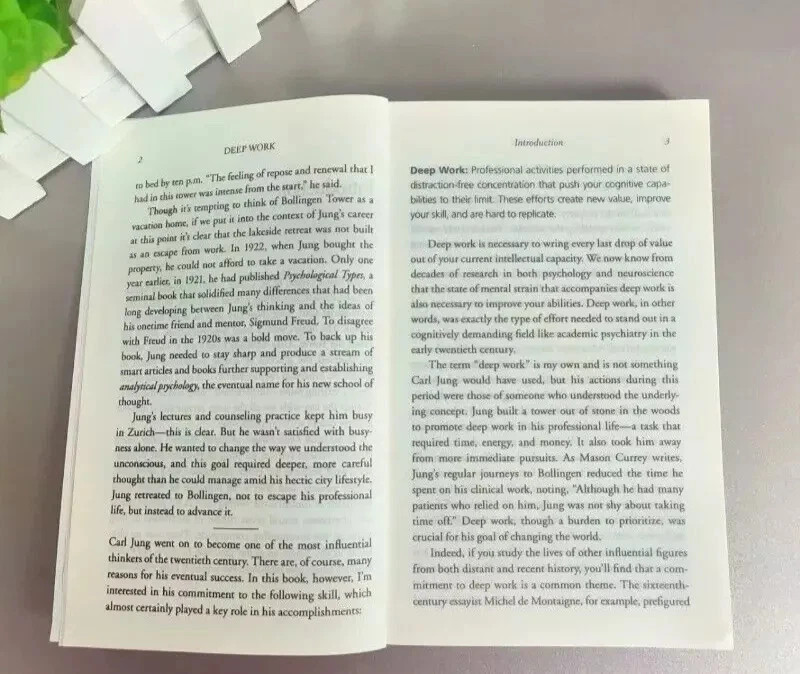 Deep Work von Cal Newport (2016, Taschenbuch) - Bild 3 von 4