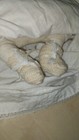 Bild 8 von 11