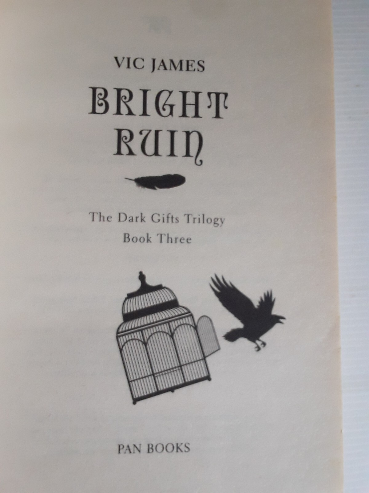 Bright Ruin  By Vic James The dark Gifts Trilogy Book 3 Paperback Magical  Book