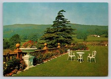 Bryn Howel Hotel Llangollen Wales Cedar of Lebanon Tree Postcard 1977
