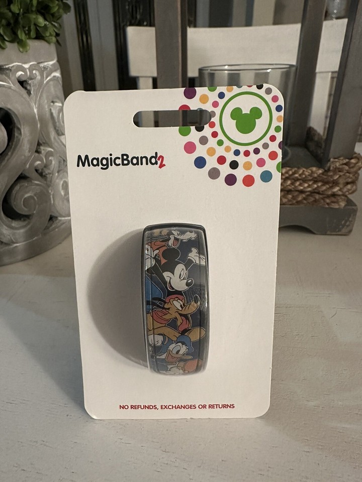 Teamwork Disney MagicBand