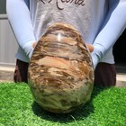 9.9LB Natural wood fossil Quartz Crystal egg Mineral specimen Healing — photo 8
