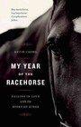 My Year of the Racehorse: Falling in Love with the Sport of Kings by Kevin Chong (Paperback, 2012)