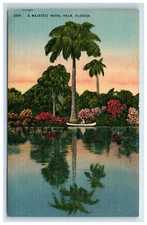 Postcard Majestic Royal Palm Florida Boat on Lake Linen UNP