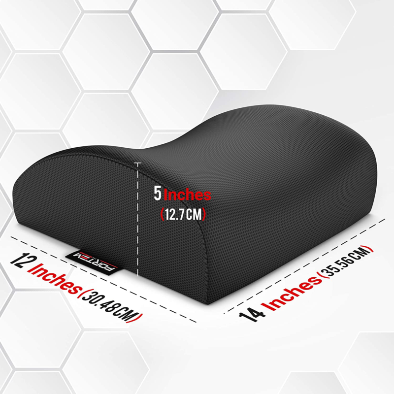 FORTEM Lumbar Support for Office Chair, Back Pillow for Car, Memory