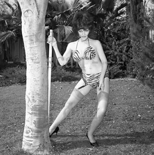 1960s Negative-sexy brunette pinup girl Cozette Cosen-cheesecake t457690