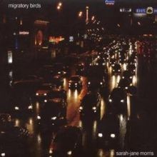 Migratory Birds von Sarah Jane Morris | CD | Zustand sehr gut