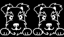 Schnauzer Rendering 2 White Vinyl Decal Car Truck Window Tablet Notebook Tumbler