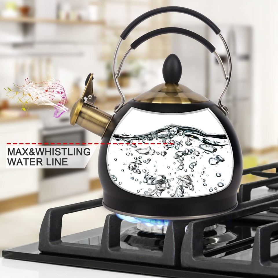 Whistling Tea Kettle Stainless Steel Teapot, Teakettle for Stovetop