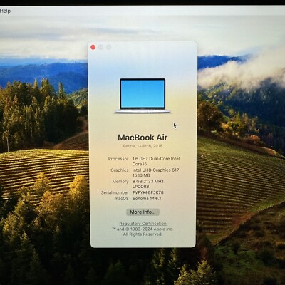 【最終値下げ‼️】Apple MacBook Air 2018 256GB All-new MacBook Air takes flight - Apple (EE)