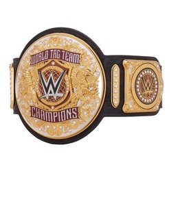 WWE World Tag Team Championship Replica Title Belt Adult Size Pre Owned
