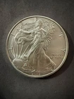 2015 American Silver Eagle  Not graded  (Ref 21)