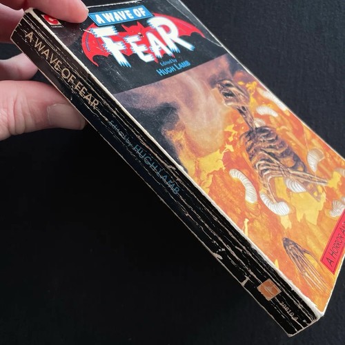 Hugh Lamb - A Wave Of Fear - Coronet Books - 1976 Vintage Horror Taschenbuch - Bild 3 von 4