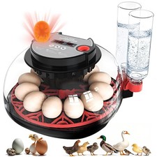 12 Egg Incubators for Hatching Eggs Automatic Egg Incubator with Temperature ...