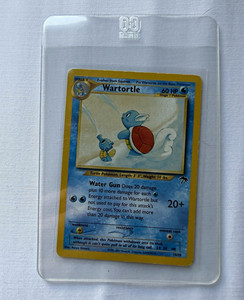25+ Wartortle Southern Islands for sale | Updated Oct 2026