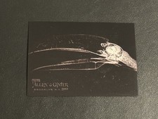 2024 Topps Allen & Ginter Oregon Zoo X-Ray’d #xr-1 Toco Toucan