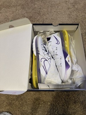 Nike Lebron 17 Low Lakers Size 14
