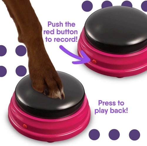 Ensemble de démarrage Hunger For Words Talking Pet boutons pour communication - Photo 3/10