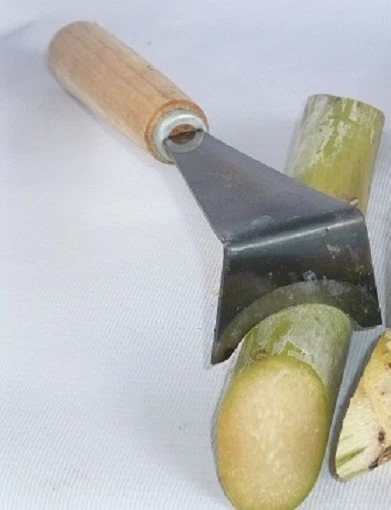 Sugarcane Skin Peeler Scraper Knife, Handheld, Easy and Portable, Fast Clean !