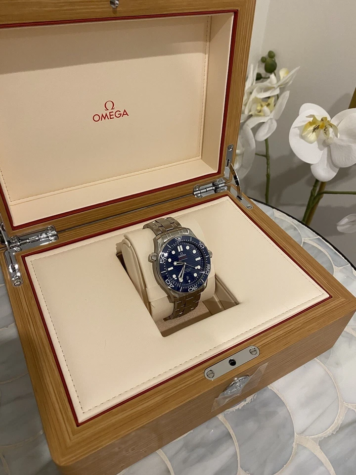 Omega Seamaster Professional 300m