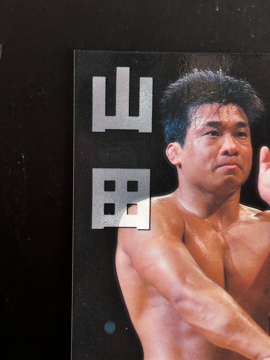 Manabu Yamada Pro Wrestling Card 174 Professional Japanese 1996