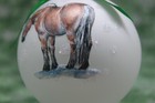 Bild 5 von 6