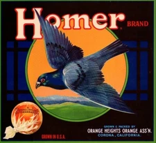 Homer Brand 1940s VINTAGE California Orange Crate Label NOT A COPY