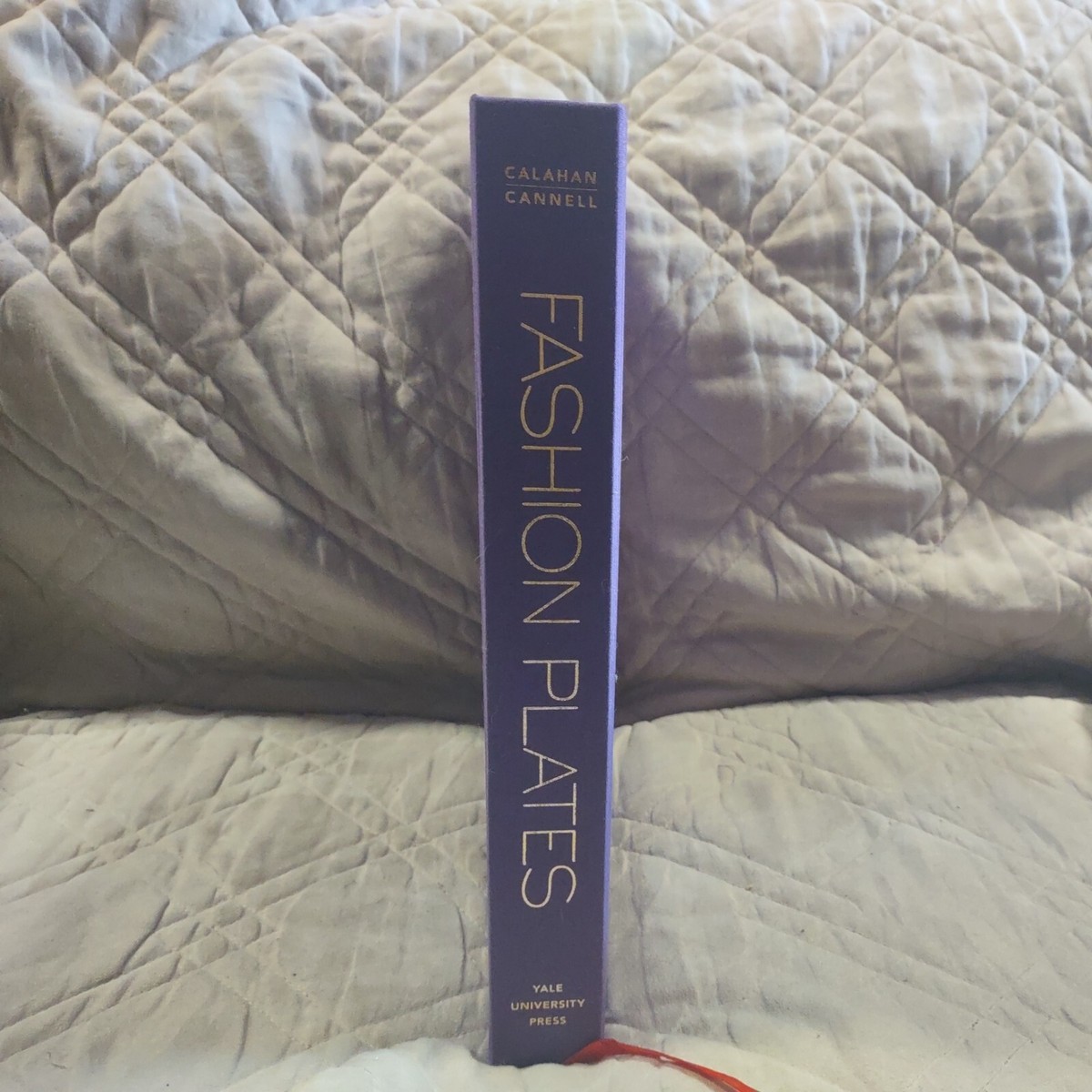 Fashion Plates : 150 Years of Style by April Calahan (2015