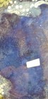 Bild 12 von 22