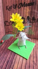 Taxidermy Mouse Cute Oddities Curiosities Collectibles Gift