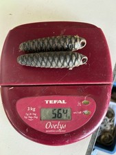 Ancienne Paire De poids pendule horloge Coucou forêt noire